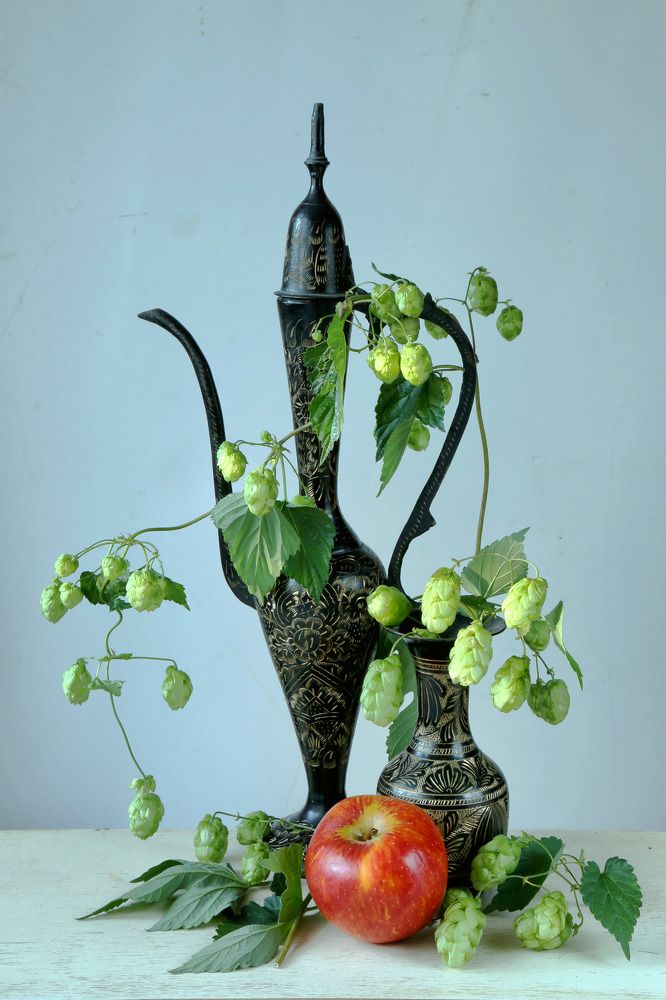 Photograph by Моложников Юрий