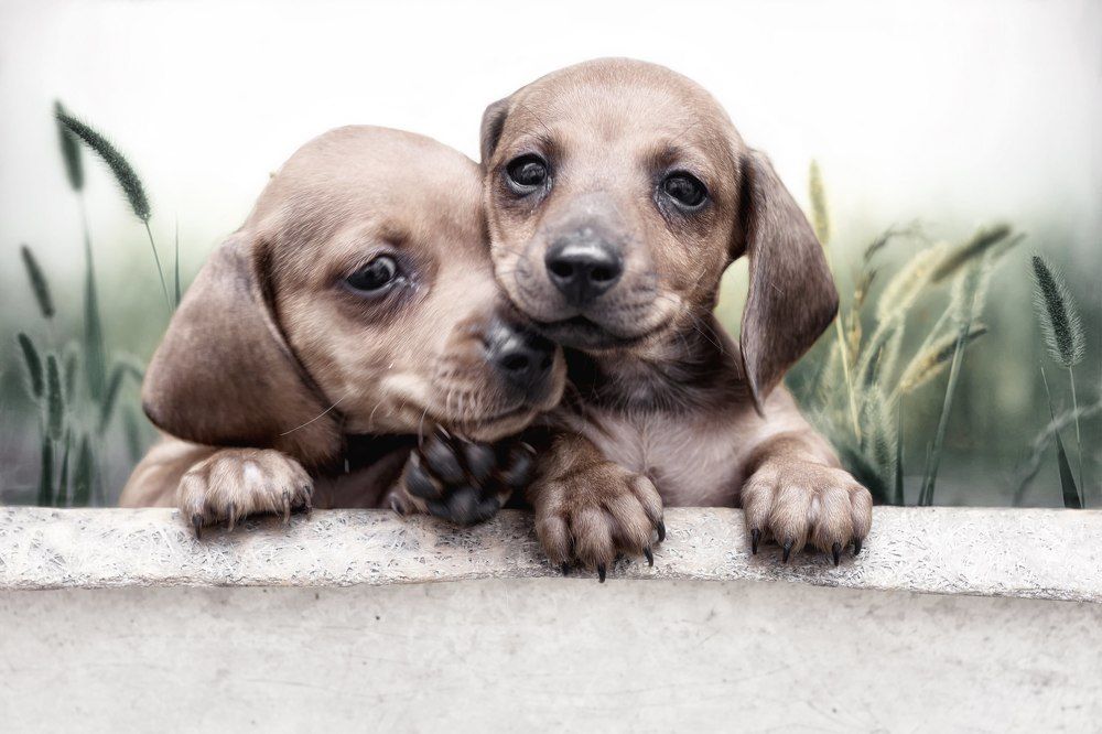 Photograph by Ricardo Sanchez Ruiz