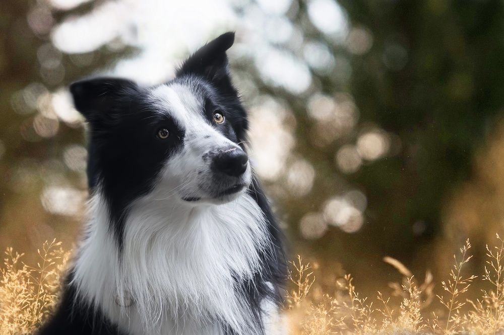 Photograph by Ricardo Sanchez Ruiz