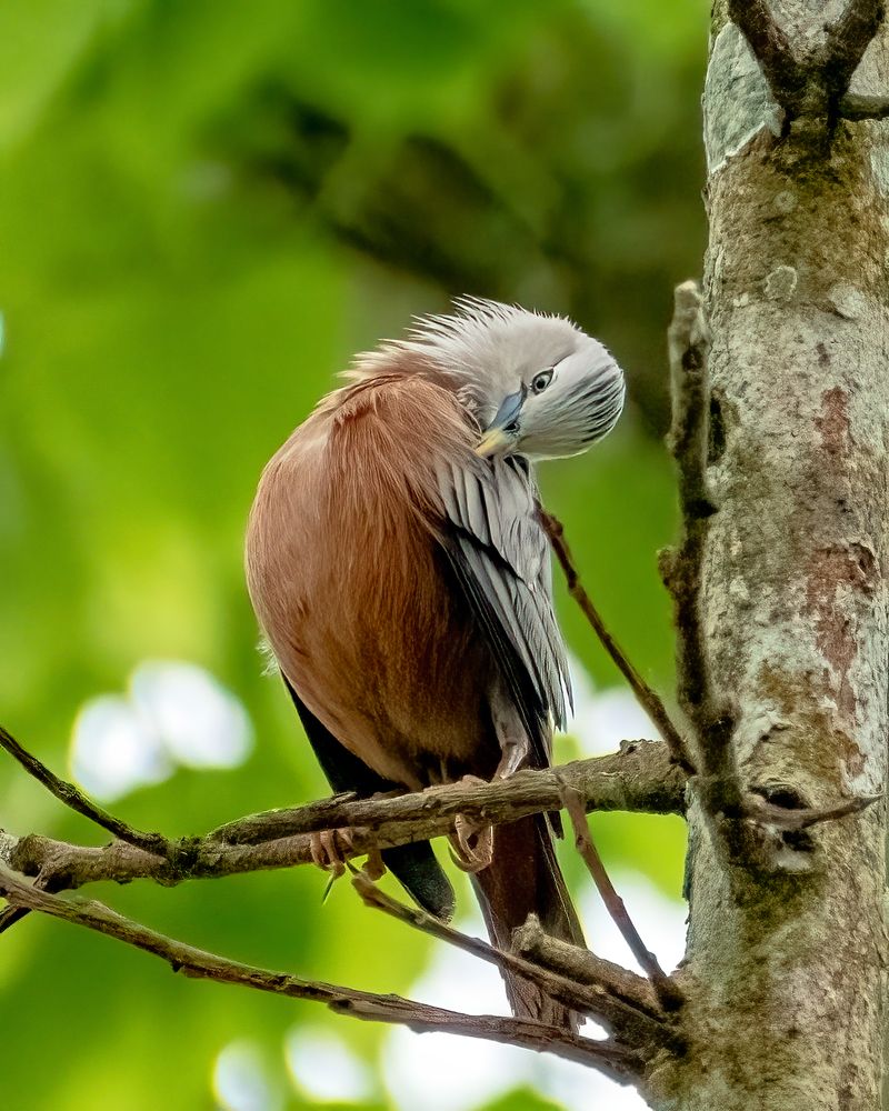 Photograph by Sourav Ganguli