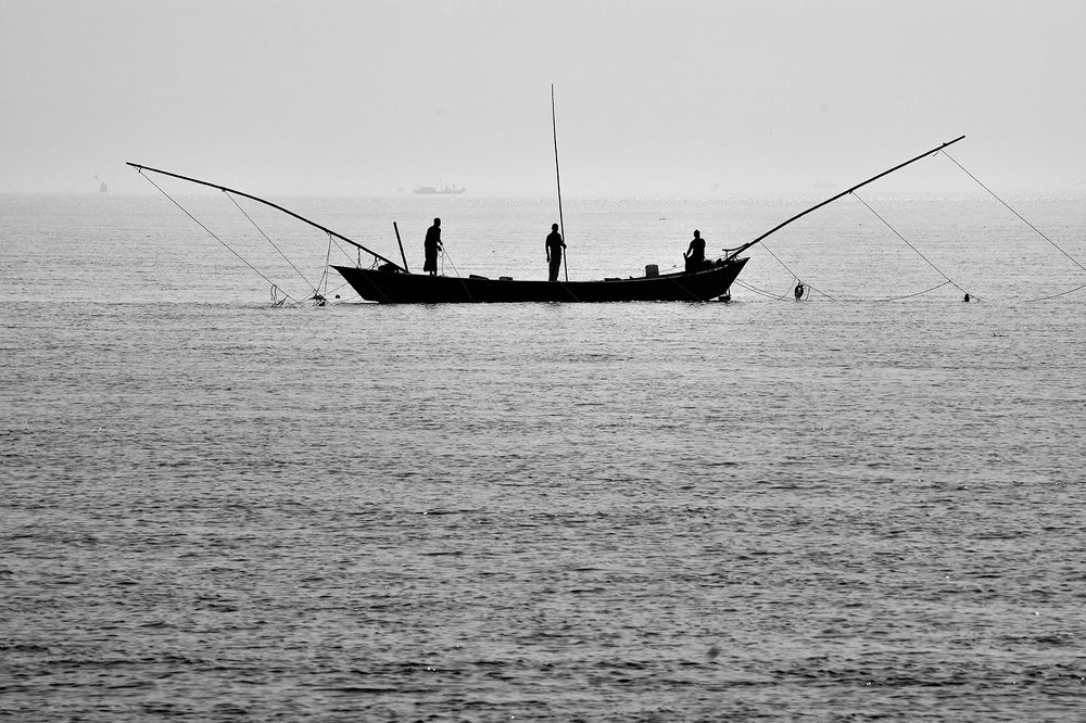 Photograph by Asiful Islam