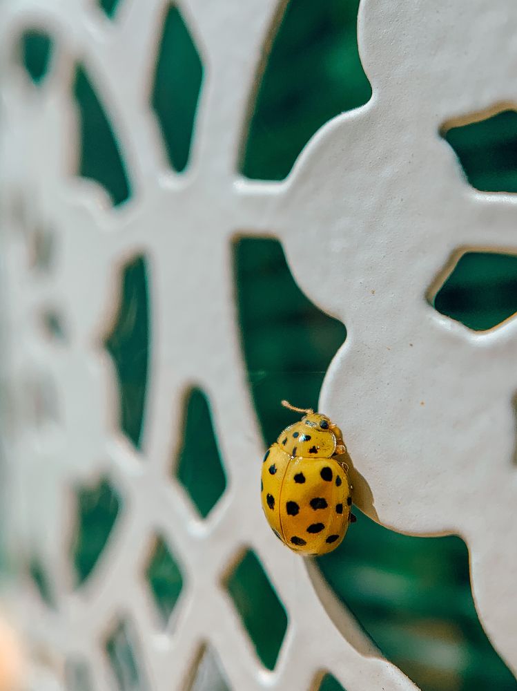 Photograph by Яна Полякова