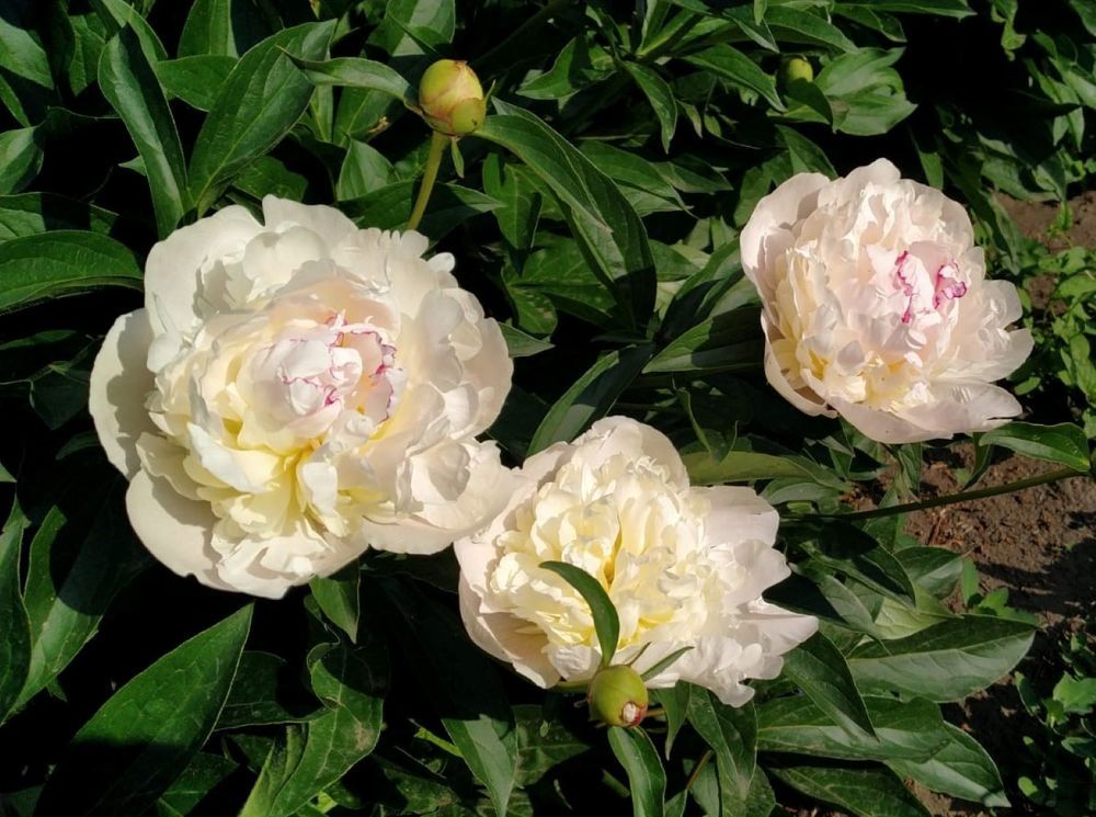 Photograph by Полина Кучеряева