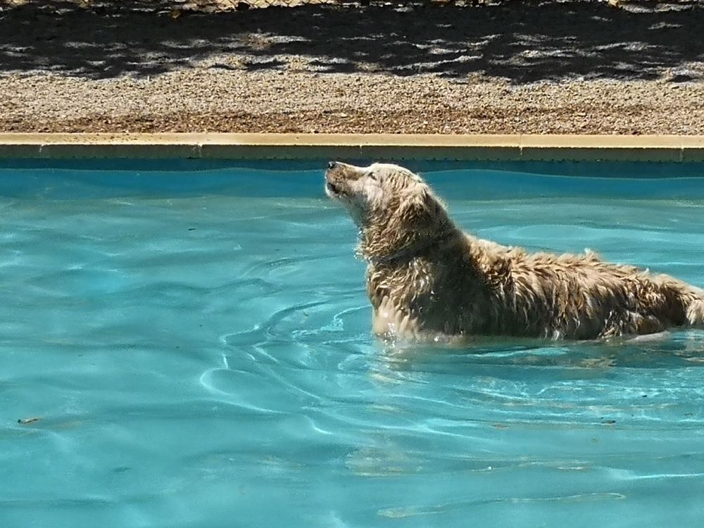 Photograph by Estrella