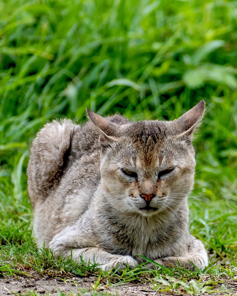 Photograph by Sourav Ganguli