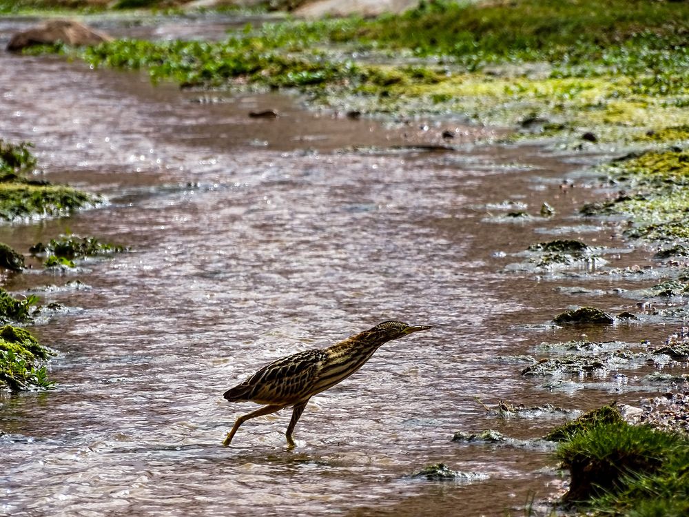 Photograph by HICHEM ZADI