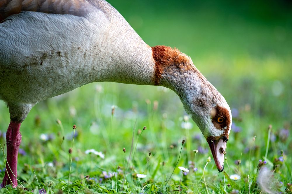 Photograph by Mikhail