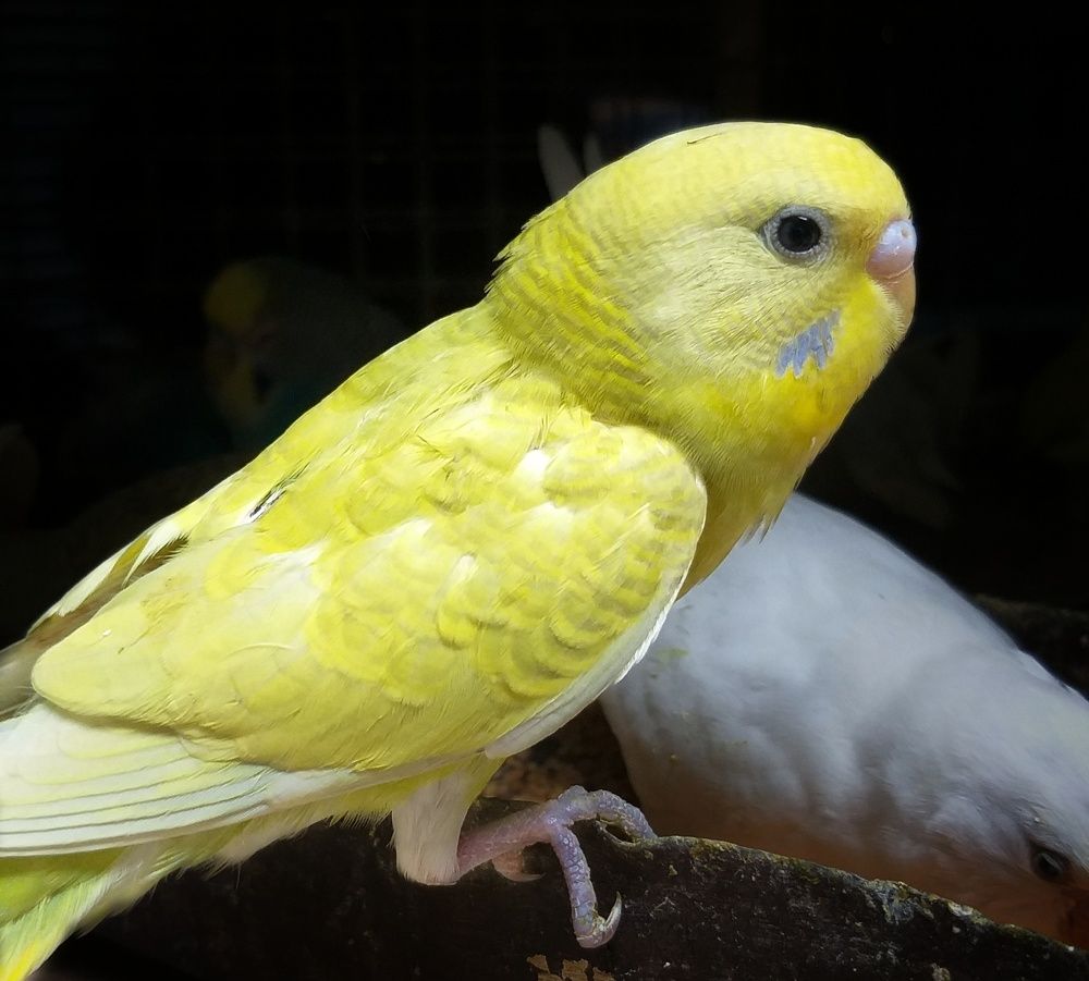 Photograph by B.Dhana sekaran