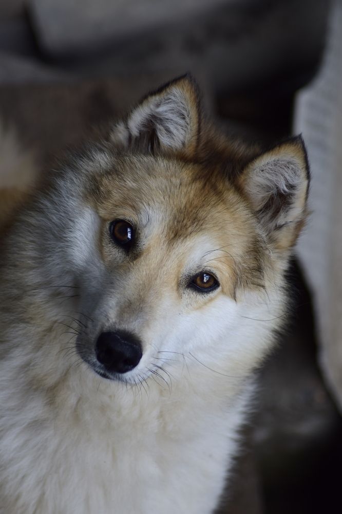 Photograph by Александра Лукашевич