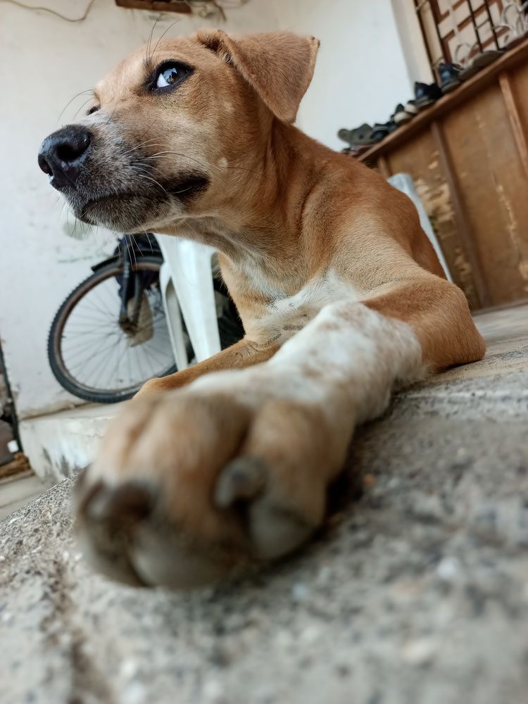 Photo #7682783