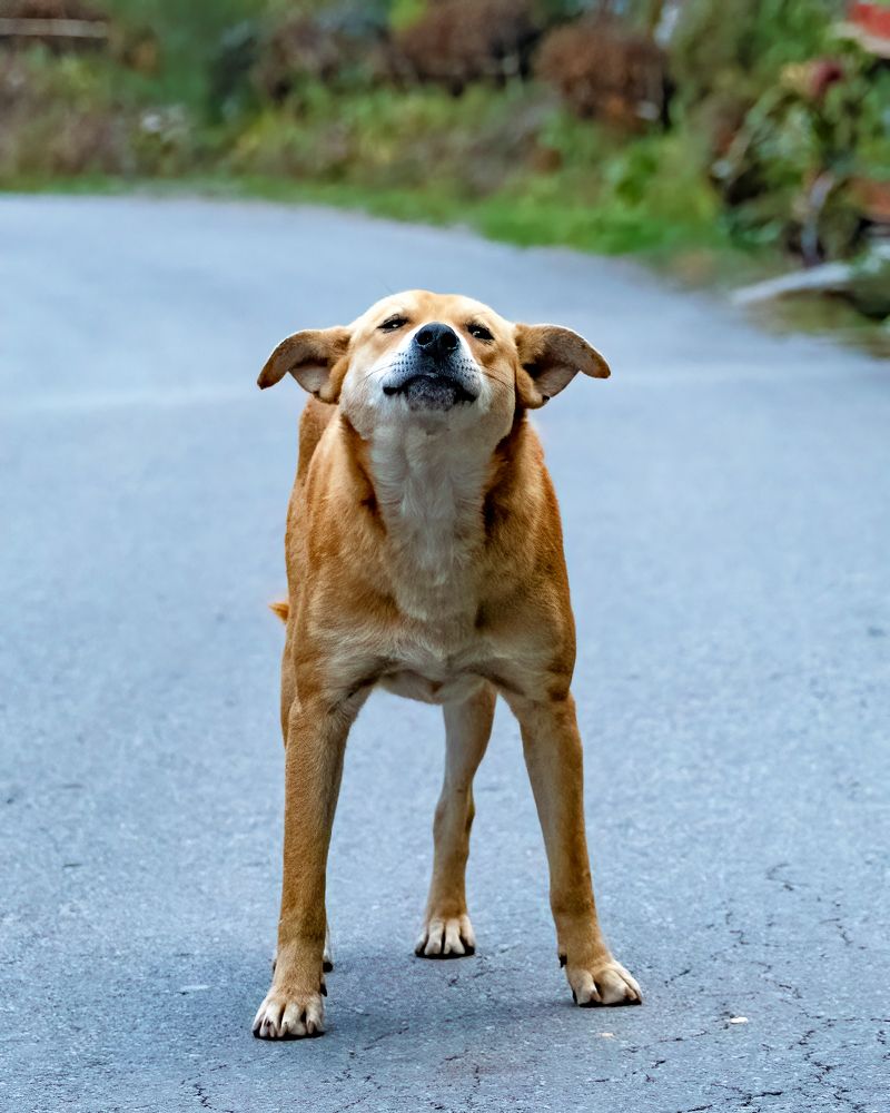 Photograph by Sourav Ganguli