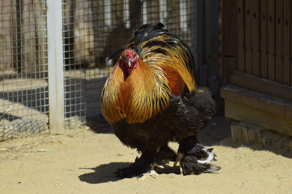 Photograph by Александра Лукашевич