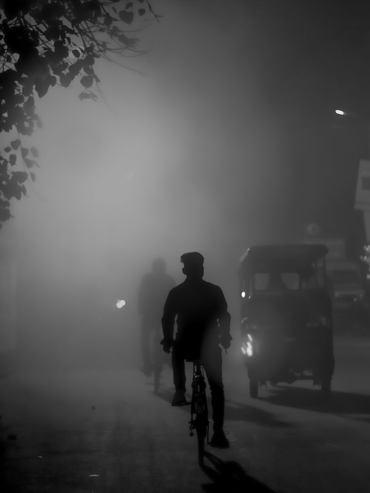 The Follower ❣️❣️