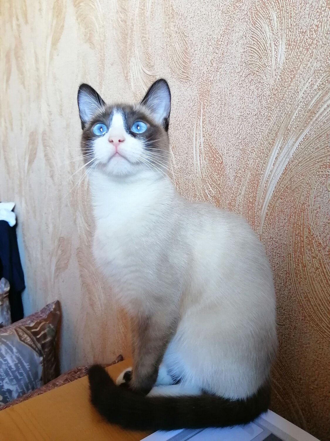 Photo #7682925