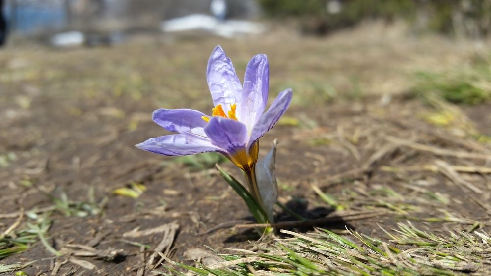 Photograph by Tigran