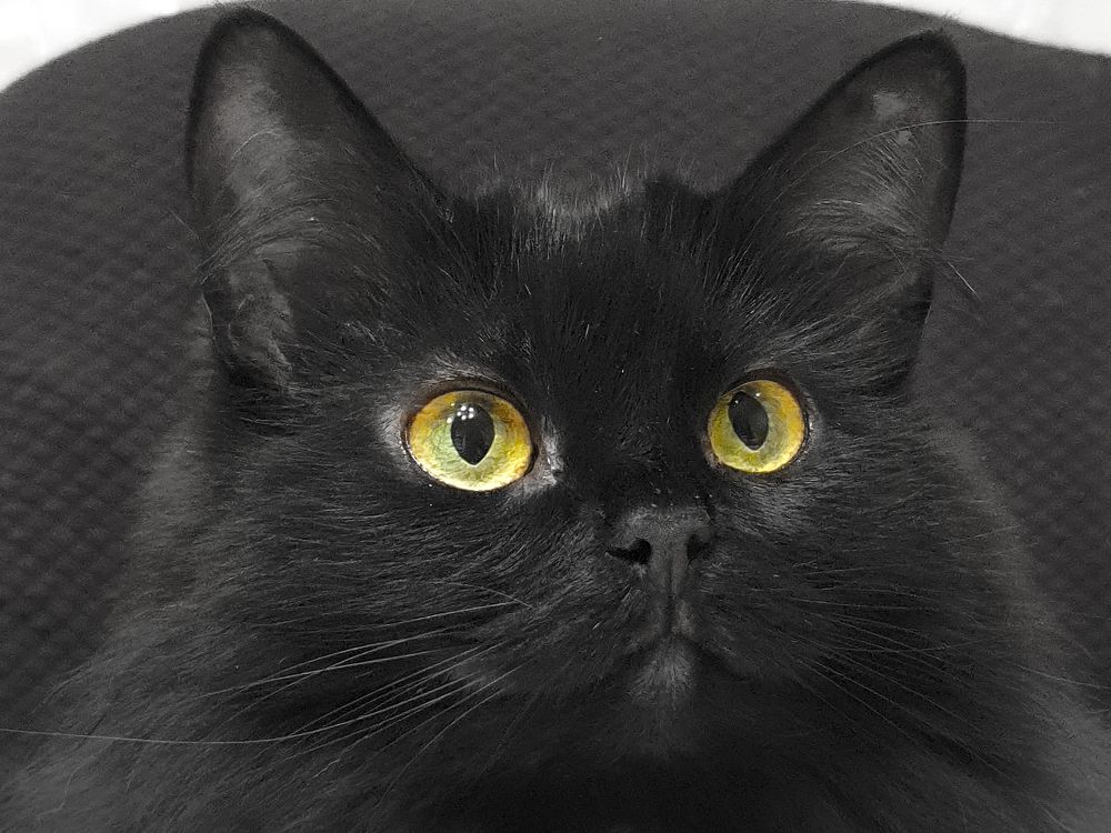 Photograph by Татьяна Лышенко