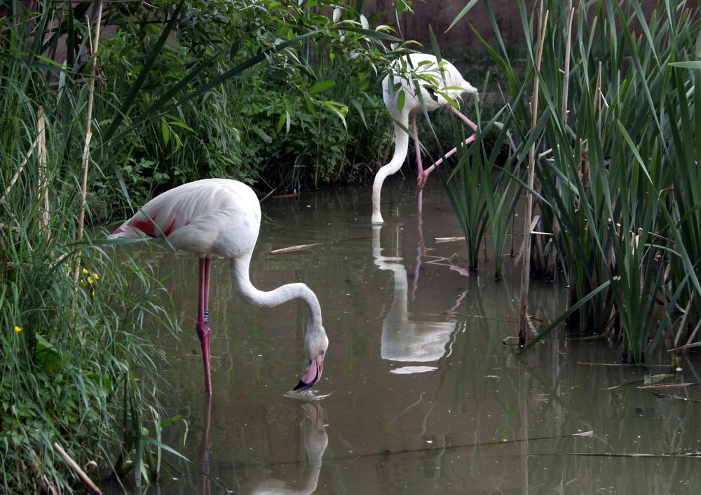 Photograph by Глеб Кузьминых