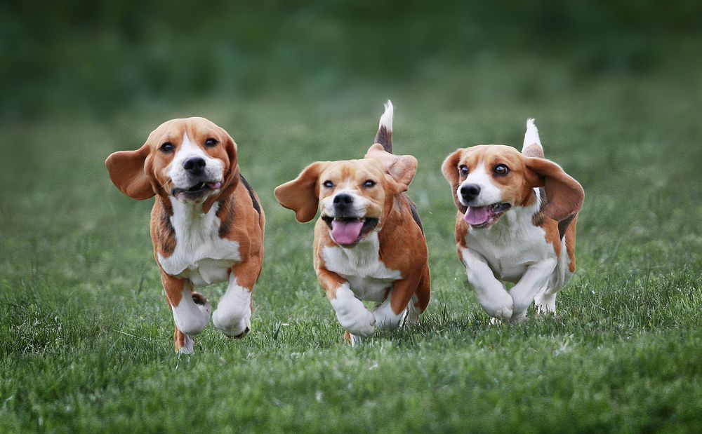 Фотография автора Katerina Mumzhinskaya