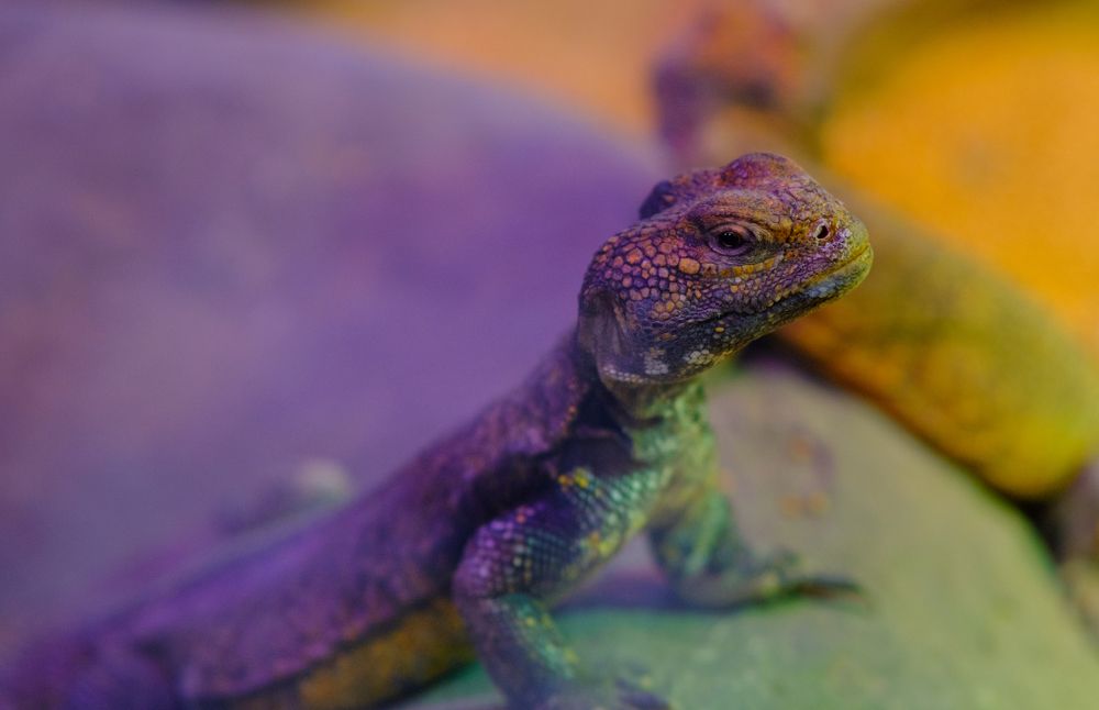 Photograph by Mikhail