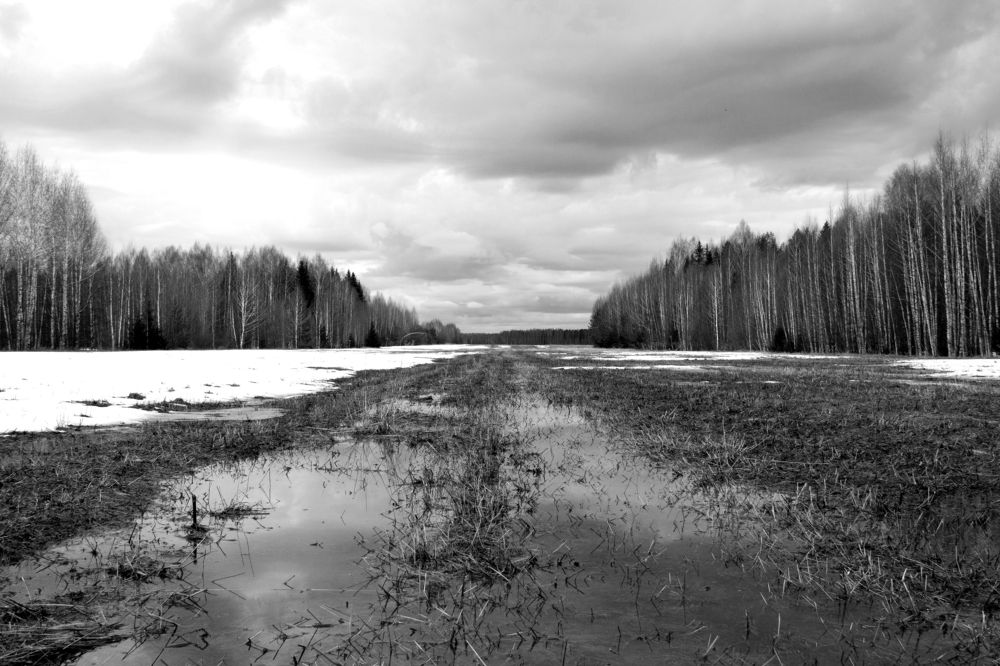 Photograph by Вячеслав Кривошеин