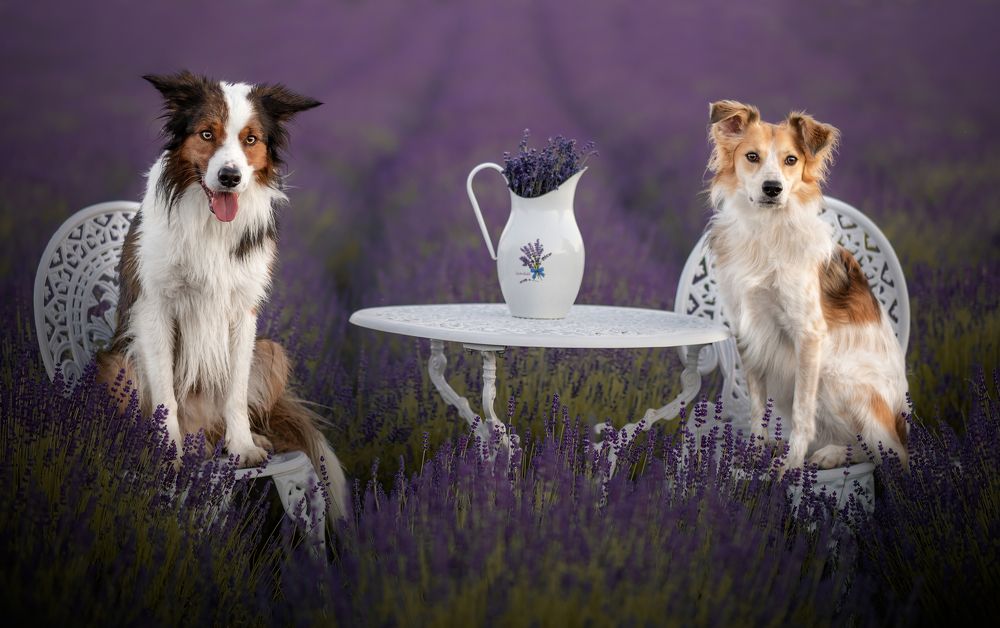 Photograph by Jakub Kudlovsky