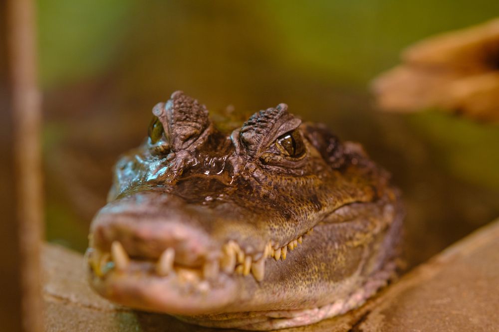 Photograph by Mikhail