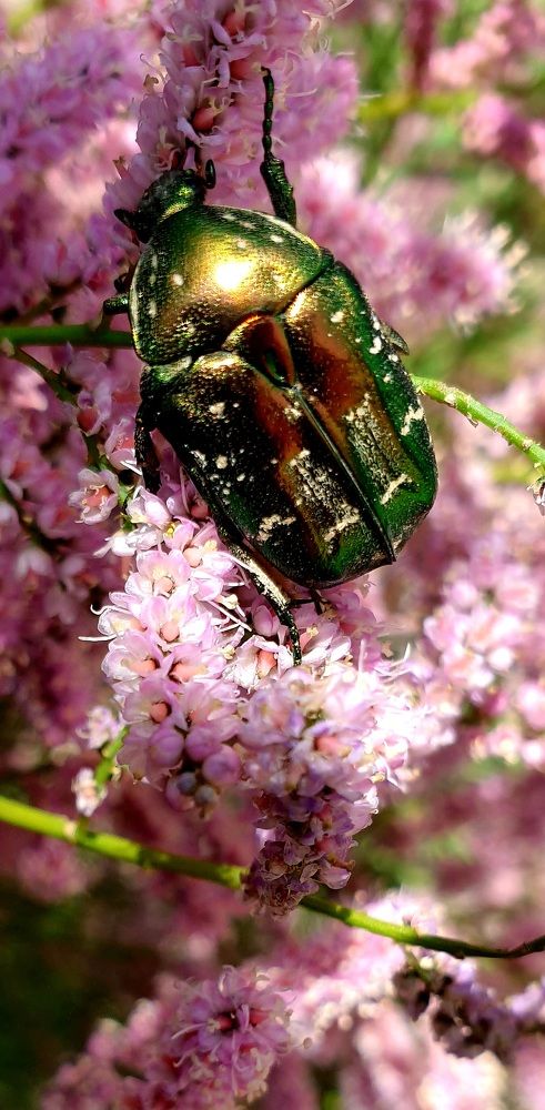 Photograph by Гюзель