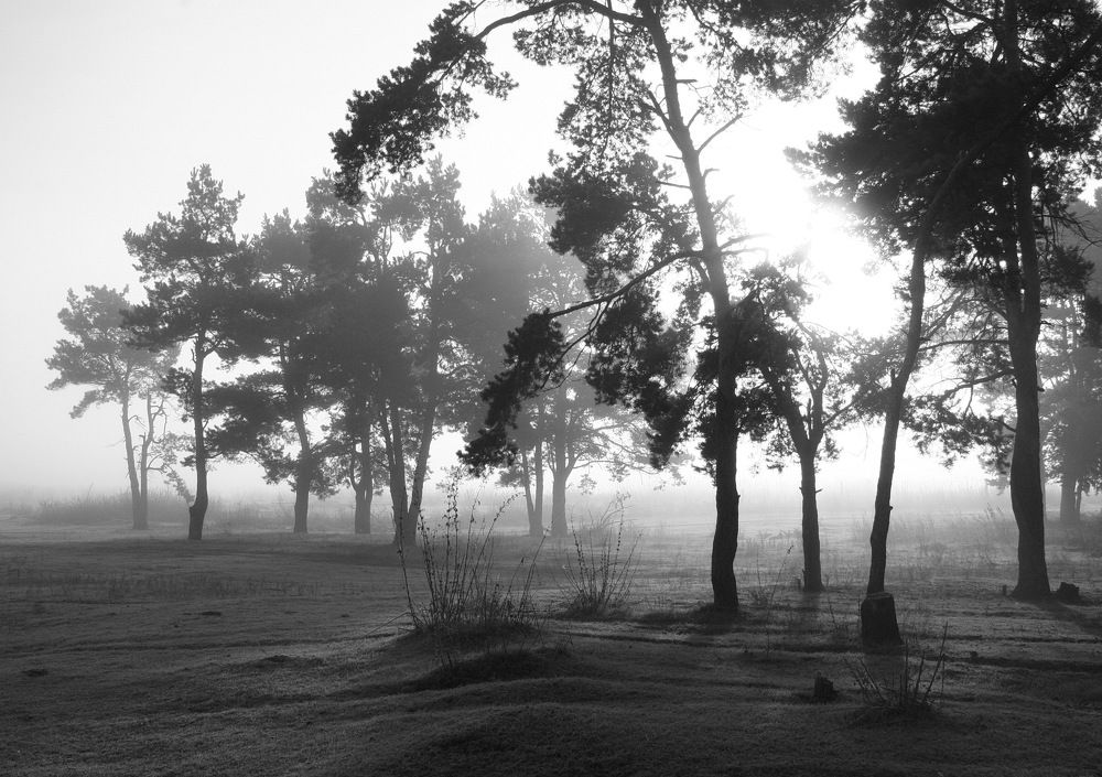 Photograph by Ирина Сушко