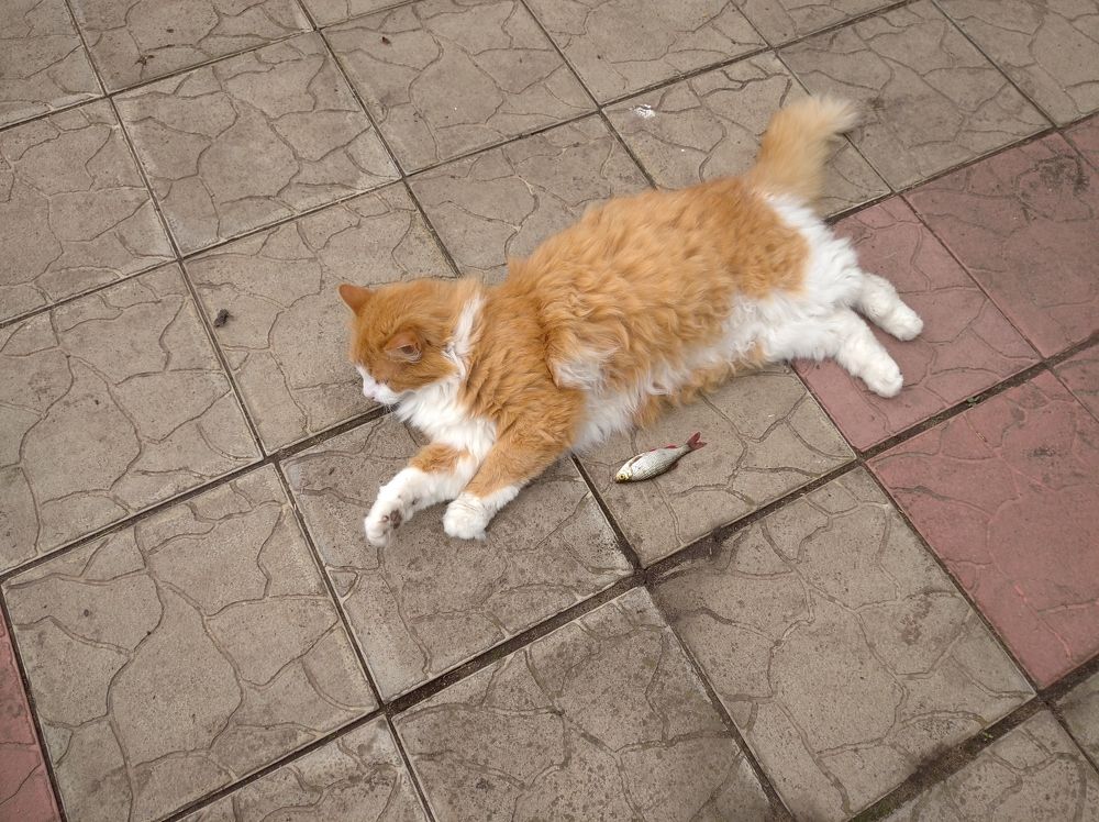 Photograph by Елена