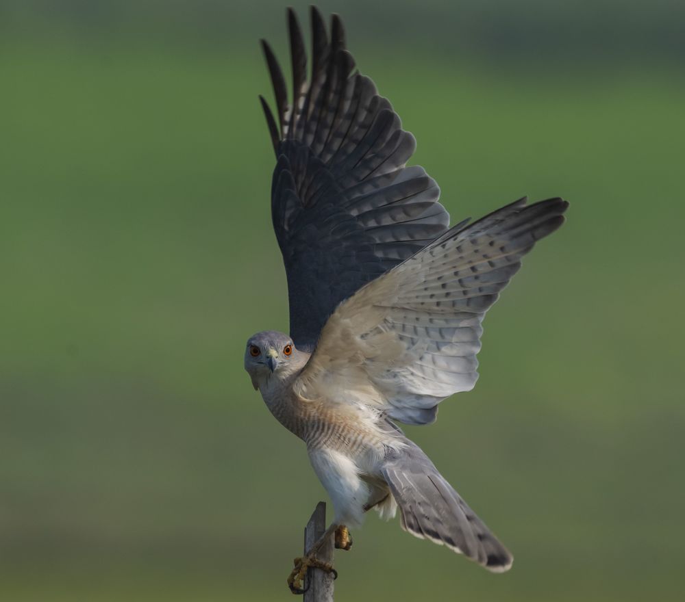 Photograph by RITUBRATA BANERJEE