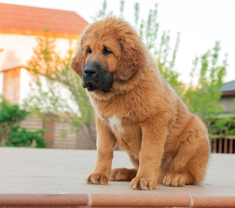 Photograph by Марина Бердяева