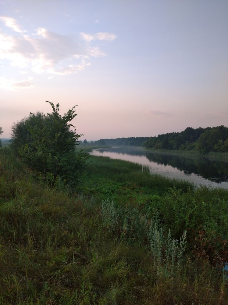 Photograph by Елена