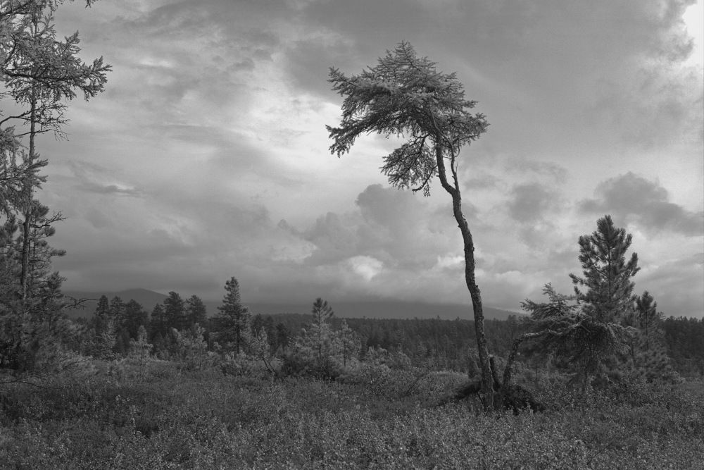 Photograph by Ирина Сушко