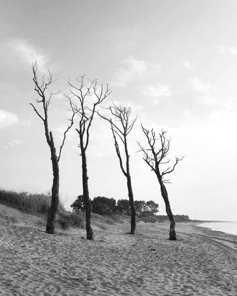 Фотография автора Регина Панькова