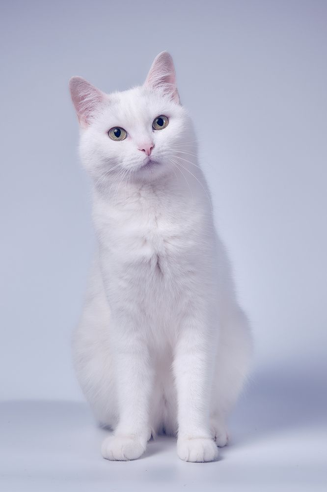 Photograph by Александр Серняк