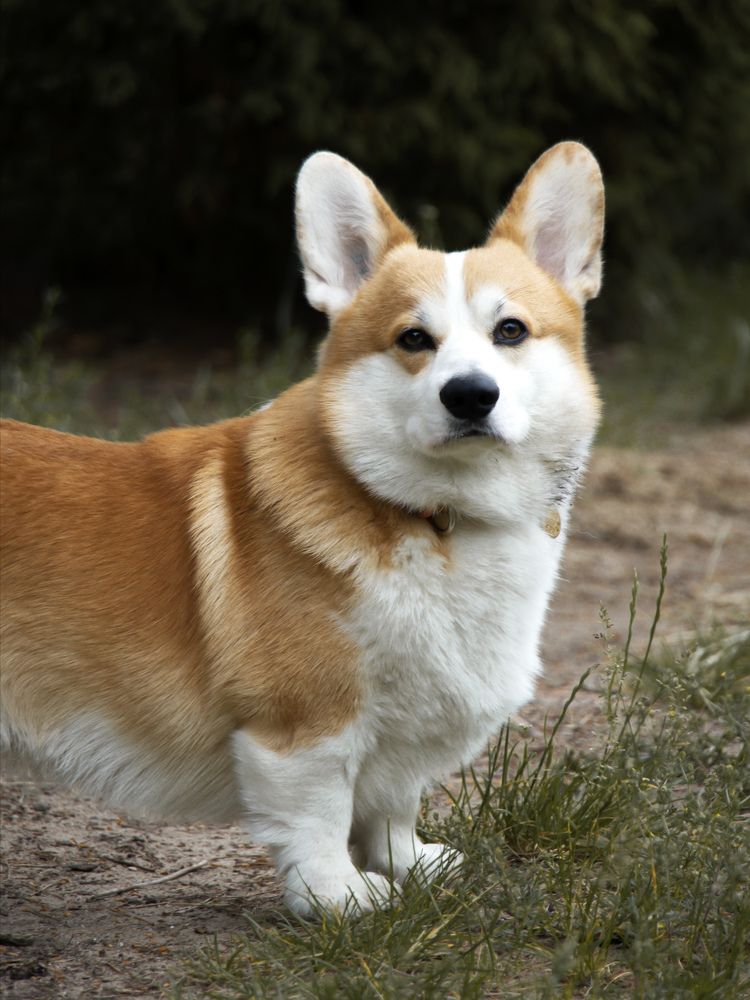 Photograph by Елена Лукьянова