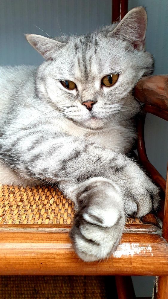 Photograph by Гюзель