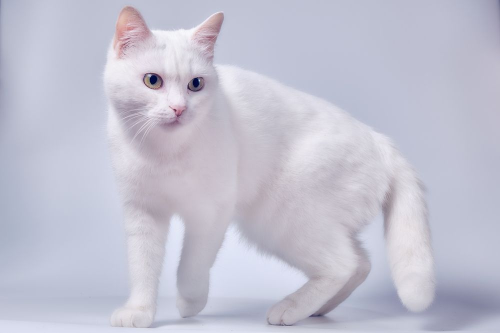 Photograph by Александр Серняк