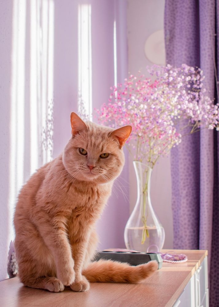 Photograph by Валерия