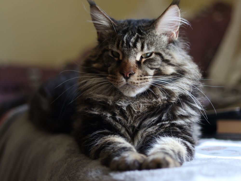 Photograph by Марина Куценко