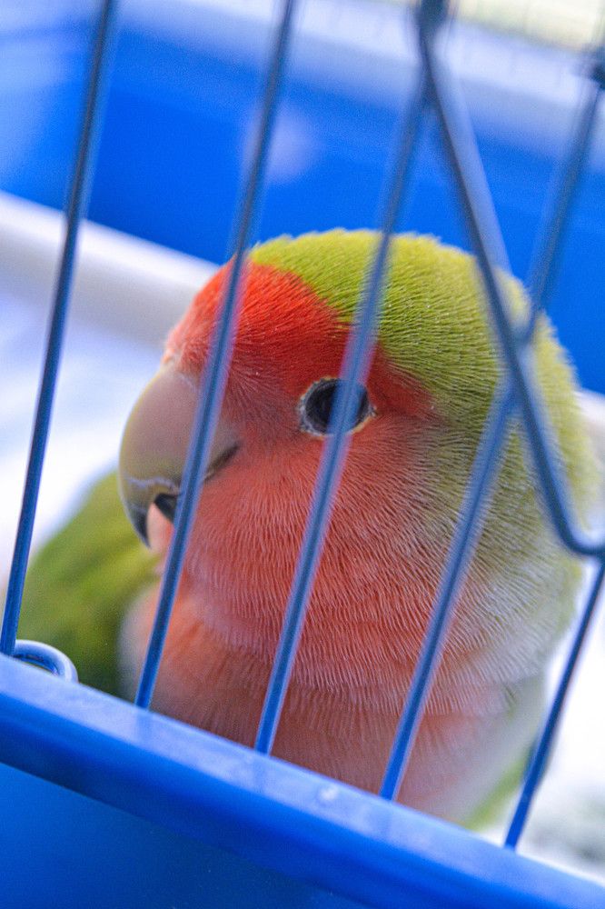 Фотография автора Оля Алехнович