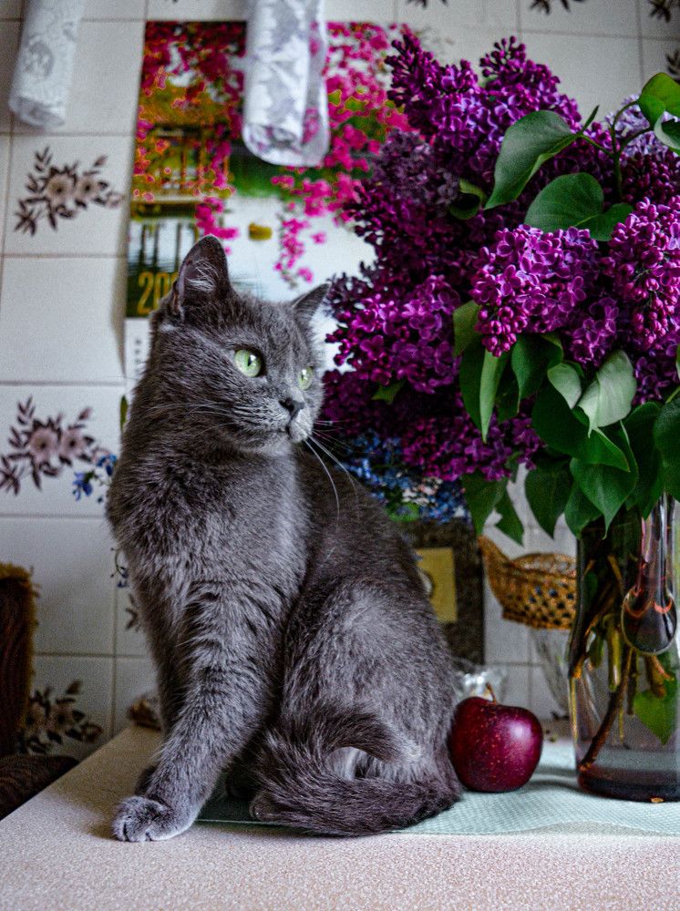 Фотография автора Оля Алехнович