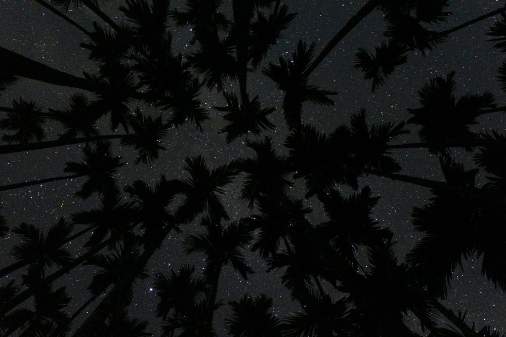 Photograph by MD RASED HASAN ROKON