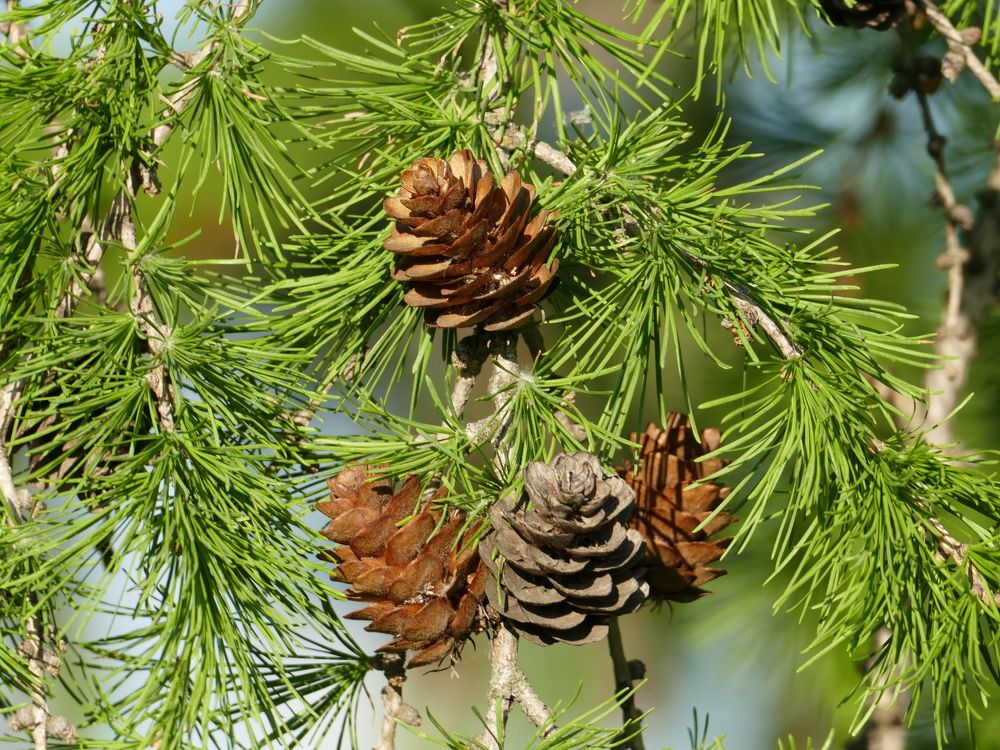 Photograph by Александр Кизим