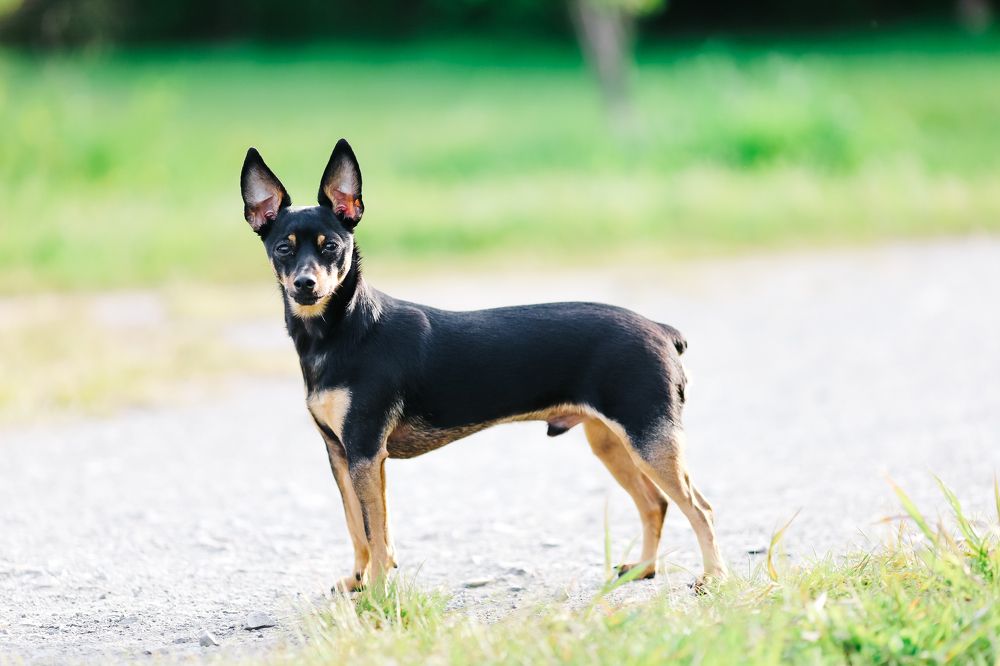 Photograph by Инна Смолякова