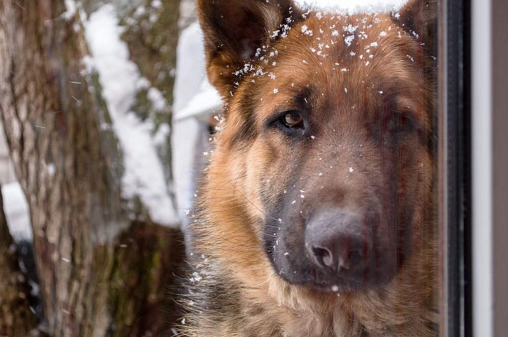 Photograph by Светлана Мельник