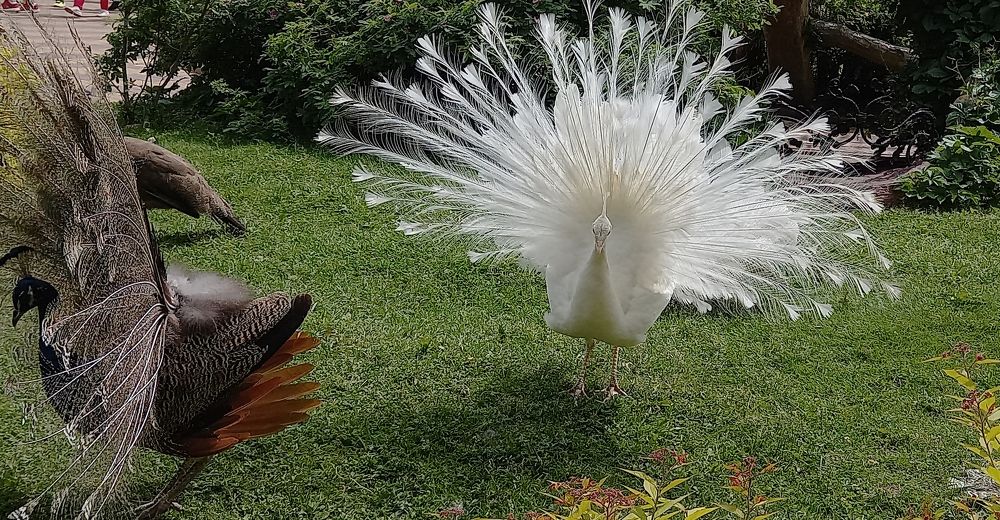 Photograph by Ирина Архипова