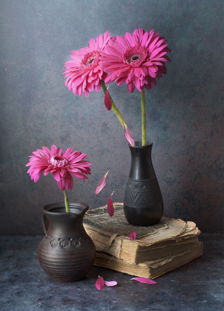 Photograph by Галина Щипакина