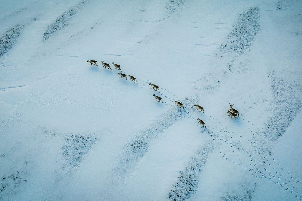 Photograph by Zaprin Geguskov