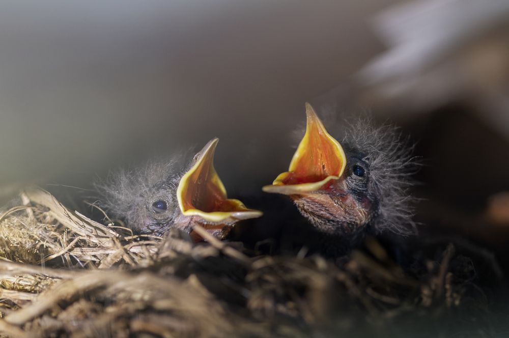 Photograph by Людмила Гудина